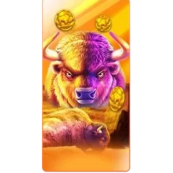Buffalo
King